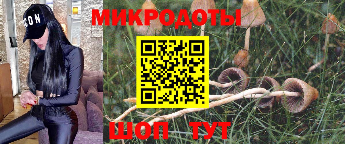 Псилоцибиновые грибы ЛСД Саянск