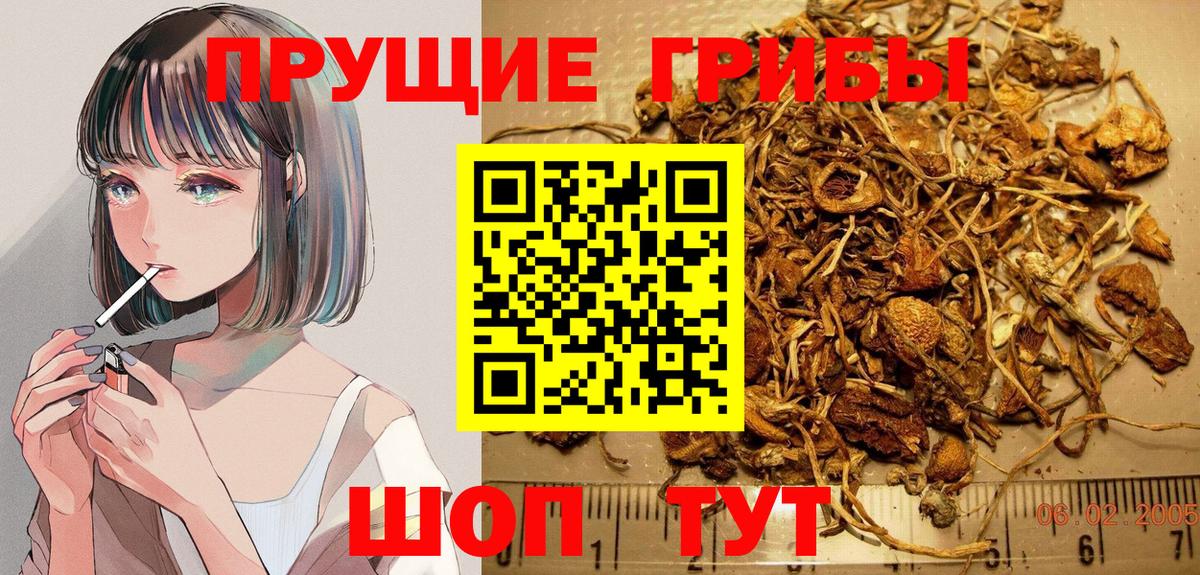 Псилоцибиновые грибы мухоморы  Псилоцибиновые грибы ЛСД  где купить наркотик  Вход с VPN  Саянск 